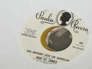 ROD ST JAMES - ANYBODY SEEN THE SUPERSTAR - PAULA DJ - Beat Bespoke 4 - HEAR