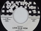 Modern Soul 45 DAVID NEVIN Love Is In View PARDNER HEAR VG++