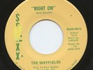 Rare Funk 45 - The Sheffields - Right On - Mint Minus - LISTEN
