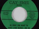 R&B Mod/Deep Soul 45 JAMES LYNN MARSH Do What You Want To GAY SHEL NM HEAR