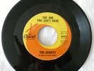 RARE '60s GIRL SURF ROCK - The Honey's - The One You Can't Have - 1963 CAP #5093