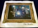 The Beatles STRAWBERRY FIELDS/PENNY LANE 1967 Original UK  45 IN PICTURE SLEEVE.
