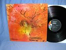 DOLDINGER`S MOTHERHOOD original LIBERTY 1970 MINT rare German Kraut Jazz LP