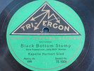 78 RPM MADE IN GERMANY TRI ERGON PHOTO ELECTRO RECORD KAPELLE HERBERT GLAD PARIS