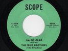 60'S GARAGE-FRIED BROTHERS-[THE FRIEDLES]-SCOPE 4818-I LOST HER/I'M SO GLAD-HEAR
