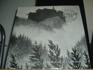 CARPATHIAN FOREST 12