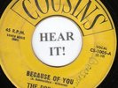 DOO WOP 45 The Dreamers (Cousins #1005) Because Of You/Little Girl  VG+
