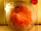 Third Man Records KAREN ELSON Vicious ROSE PETAL FILLED 7