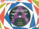 PAUL McCARTNEY DEMO *ALL MY TRIALS/ C MOON* 1990