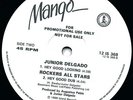 JUNIOR DELGADO - HANGING TREE - JAH SHAKA KILLER LISTEN