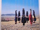 (o) The Alan Parsons Project - Try Anything Once