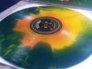 Title Fight Floral Green FLORAL/500 OOP seahaven tigers jaw rival mob lockin out