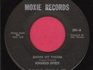 Kindred Spirit   Blue Avenue   US 45  Rare PA Psych  HEAR