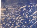 Grateful Dead: Live - Entire 1 3/4 Hour Concert USA Double Album Stereo