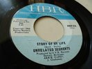 UNRELATED SEGMENTS RARE MICHIGAN GARAGE HBR LBL-514 STORY OF MY LIFE HEAR