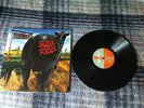 Blink 182 Dude Ranch vinyl record LP 180 gram /300 new found glory mxpx enema