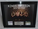 Kings Of Leon Radioaward 