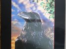STRANGLERS THE RAVEN 3D UNPLAYED  UK ORIGINAL ISSUE KBD PUNK LP MINT