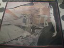 Scratch Acid - Beserker Punk Rock Classic LP