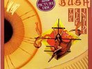 Kate Bush-