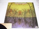 AMERICAN BLUES...DO THEIR THING...PRE Z.Z. TOP..USA 1ST PRESS ORIG...SUPERB