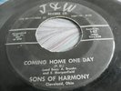 CLEVELAND GOSPEL 45 SONS OF HARMONY 