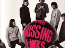 THE MISSING LINKS - SELF TITLED OZ LP 1984 M- COND RAVEN REISSUE