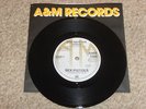 The Sex Pistols - God Save the Queen A&M Repro - Black Vinyl - Mint