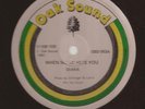 DIANA - WHEN THE MUSIC HITS YOU / COMBINATION - FEEL NO PAIN - OAK SOUND 12