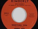 Northern Soul 45 JIMMY BEE Wanting You KIMBERLY HEAR