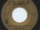 Rare R&B / Soul 45 - The Sevilles - Don't You Know I Care - Mint Minus