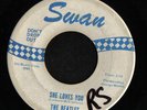BEATLES 45 SHE LOVES YOU SWAN WHITE LABEL BLUE PRINT LOOK