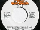 PURE LOVE I Knew Our Love Would Last on Sun Belt rare modern soul