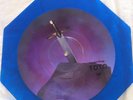 Blue Picture Disc TOTO Georgy Porgy RARE PROMO OCTAGON SHAPED