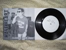 Have Heart demo SUMMER TOUR COVER stick together trapped under ice bane verse b9