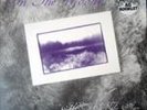 IN THE WOODS - Heart of ages    Orig.DoLP   von 1995