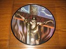 SLAYER War Ensemble PIC LP  SEASONS IN THE ABYSS SOUTH OF HEAVEN