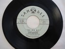 Rockabilly Teen 45 Steve Carpenter San Dee The Big Hit rare record LISTEN