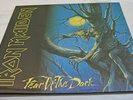 Iron Maiden - Fear Of The Dark 2 LP