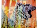Amon Düül II - Wolf City - 1972 *NEAR MINT* Japan Press Liberty LP