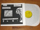 CRYSTALIZED MOVEMENTS This Wideness Comes LP first press #/106 twisted village