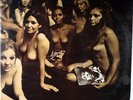 THE JIMI HENDRIX EXPERIENCE-ELECTRIC LADYLAND-ORIGINAL UK DOUBLE STEREO LP
