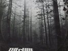 THE CURE A Forest 12