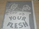 Your Flesh #3 HC punk zine fanzine '82 Code of Honor Articles of Faith Discharge
