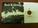 DEAD KENNEDYS KILL THE POOR  SPANISH IOMPORT SINGLE