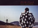 PINK FLOYD Delicate Sound Of Thunder 1988 Live 2LP promo US orig prog psych