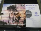 ricci/l.s.o./fjelstad...sibelius violin concerto..SXL..decca stereo....