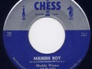 MUDDY WATERS - 