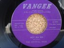Ohio psych  Vangee 3061   The Crystal Rain    Funeral At Dawn / Hey Ma Ma  HEAR