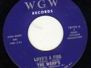 THE WERPS RARE ORIG US GARAGE 45 ON WGW 'LOVES A FIRE
